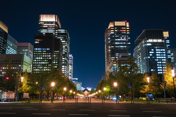 東京都千代田区 丸の内、行幸通りと高層ビル群の夜景