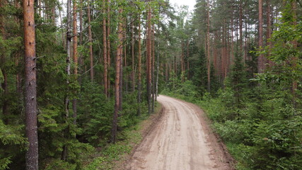 Landscape overlooking a forest road