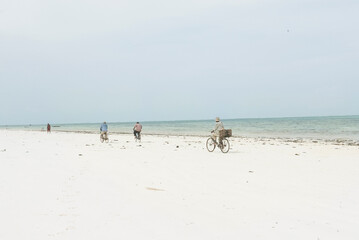 Fototapeta na wymiar Three men on bikes in Zanzibar, Tanzania, Africa 
