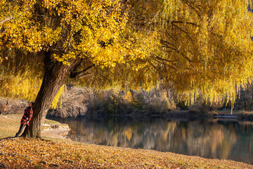 Backgrounf of natural autumn colors. Big tree near lake, with woman dressed with warm winter clothes leaning on it. Dry brown and yellow leaves on the ground. Water reflections. Copyspace 