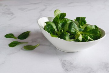 Fresh lamb's lettuce in white porcelain bowl on white marble surface.