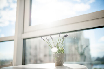 Flowerpot with a flower on the table by the window on the high floor of the apartment