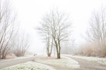 Ganz schemenhaft in der Ferne Taucht eine Gestalt langsam aus dem Nebel auf ,sonst sind die Wege samt Landschaft still und Ruhig mit Frost bedeckt und ungestört ,an einem kalten Winter Morgen