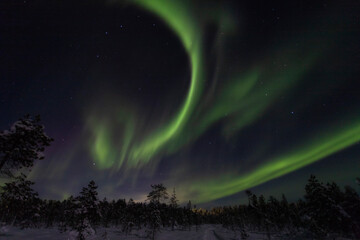 Fototapeta na wymiar Aurora borealis Green in Murmansk region, Russia