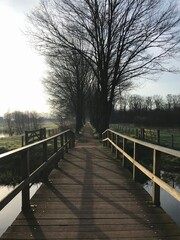bridge in the park