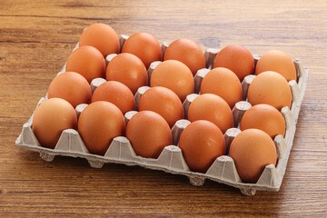 Organic chicken egg in the carton