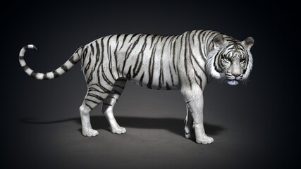 Tiger close-up. 3d illustration