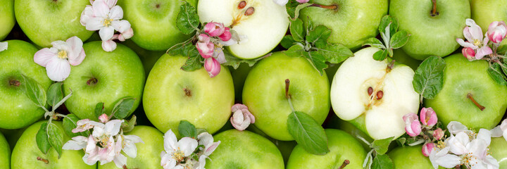 Apples fruits green apple fruit background with leaves and blossoms panorama