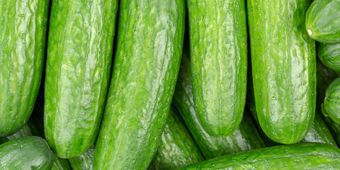 Cucumber cucumbers background vegetable vegetables from above panorama