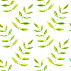 Seamless watercolor floral pattern - green leaves and branches composition on white background