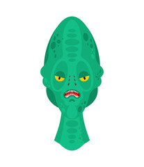 Reptilian face. Alien land invaders. Reptilian conspiracy theory. reptiloid humanoid beings from another planet with green skin. theory secret government of reptilians
