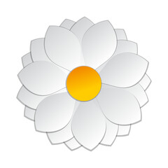 white flower on white background