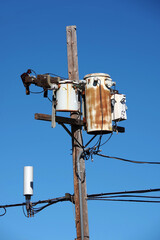 Close-up view of the top of a wooden seaside electricity pylon with some rusty weathered...