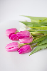 Beautiful spring bouquet with pink and white tulips on a white background. Postcard for the holidays.