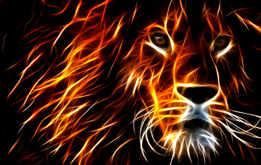 Fototapeta premium lion. the image of the king of beasts.