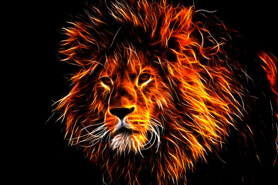 lion. the image of the king of beasts.