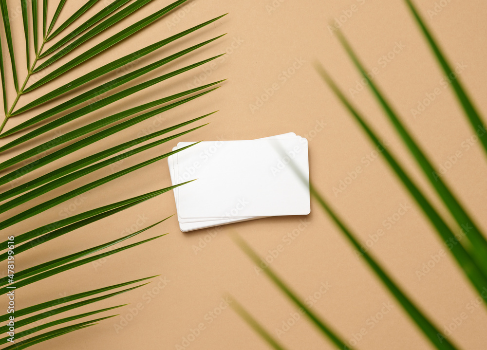 Poster stack of rectangular white paper business cards and a leaf of a palm tree on a brown background. vie