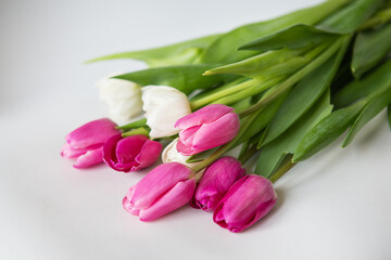 Beautiful spring bouquet with pink and white tulips on a white background. Spring, 8 March, birthday. Postcard, place for an inscription.