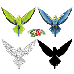 Green and blue bird  flying budgerigar pet parakeet  or budgie or shell parakeet home pet natural outline and silhouette and orchids cymbidium palm,philodendron and ficus vintage vector illustration 