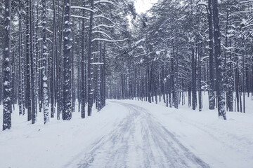 Fototapeta na wymiar Winter landscape with a snow-covered road in the forest