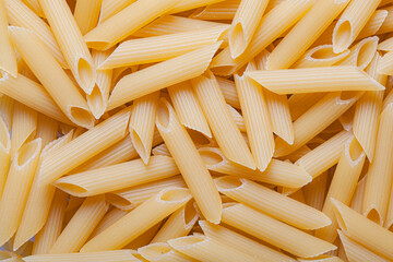 texture of raw pasta feathers top view