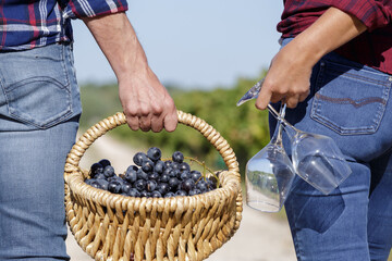 a wine growing couple holding grapes