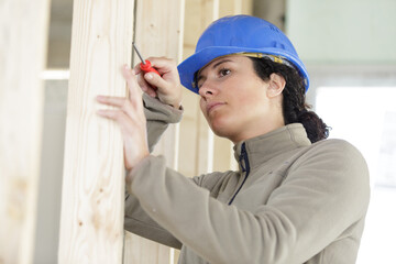 young woman with screws for mounting