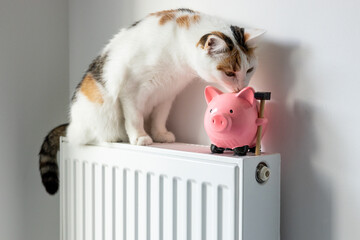 Cat sitting on a hot radiator in a house next to a piggy bank, Concept of rising apartment heating...