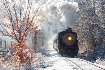 Steam Train through woods