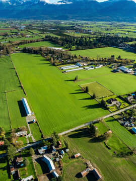 Stock aerial photo of Chilliwack Farm Lands, Canada