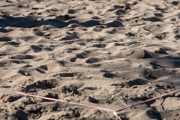 tracks in sand
