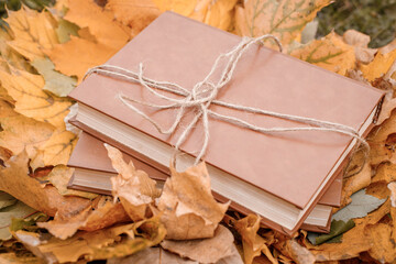 A stack of books lies on a heap of autumn leaves