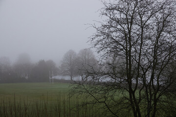Obraz na płótnie Canvas Fog in the field