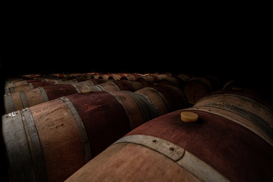 Die Kunst der Weinreifung: Weinf&auml;sser Barik im traditionellen Weinkeller