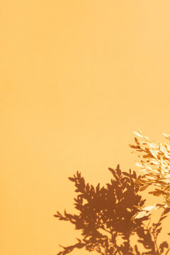 Shadows of twigs of dry plants on the wall in orange color. Nature vertical background with copy space vertical format