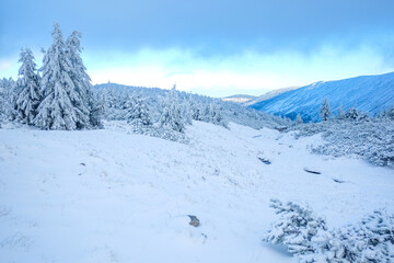 Fototapeta na wymiar Winter vacation in the mountains. Snowy landscape
