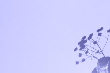 Hard shadows of plants on the wall in very peri trendy color 2022 tinted. Nature creative background with copy space