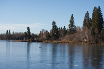 Frozen Astotin Lake in Mid November