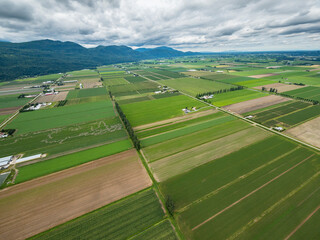 Stock Aerial Photo of Agricultural Farmland Abbotsford BC  , Canada