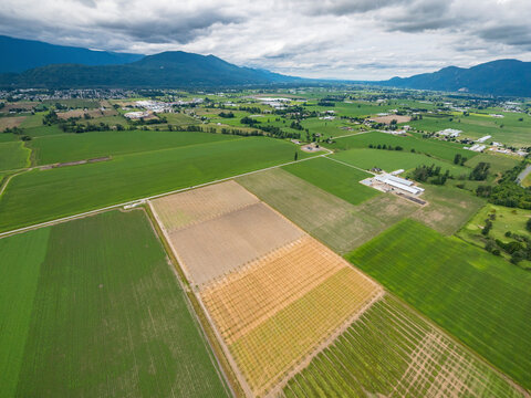 Stock Aerial Photo of Agricultural Farmland Chilliwack BC  , Canada