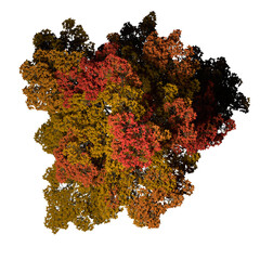 VEGETATION TOP VIEW - TREES PLANTS AND BUSHES IN PLAN