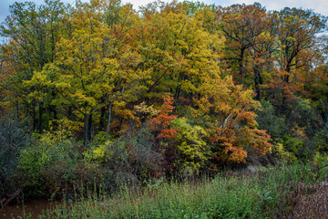Hendrie Park Valley boardwalk trail across the marsh during autumn,  Burlington   Ontario