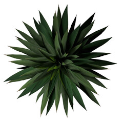 VEGETATION TOP VIEW - TREES PLANTS AND BUSHES IN PLAN