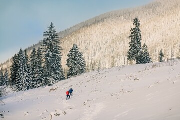 People hiking in beautiful winter mountains for winter sport activity snow mountain hills. Going...