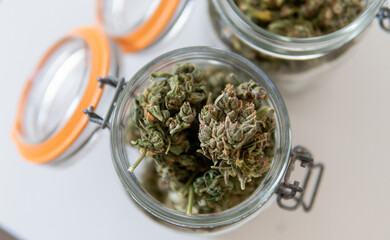 Recreational use of marijuana. Cannabis research