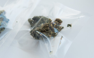 cultivation of medicinal strains of marijuana for the treatment of diseases. Cannabis and the...
