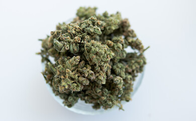 cultivation of medicinal strains of marijuana for the treatment of diseases. Cannabis and the...