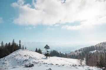 Group of mountaineers trek in winter scenery mountains. Team of hikers in hike in snowy mountains cold weather with backpack. People hiking on the beautiful snow mountains