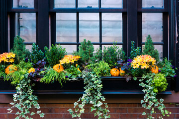 Fototapeta na wymiar Big planters with various plants set against an outdoor glass wall