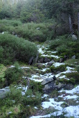 Snow in the mountains. Winter